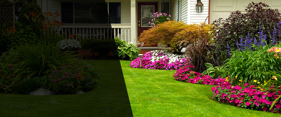 Dagsboro Landscapers