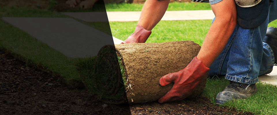 Dagsboro Landscapers